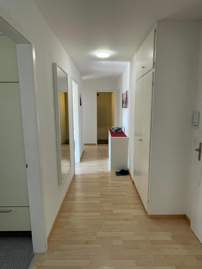 3-Room Apartment For Business Travelers & Families, Free Wifi & Tv With 70 Countries, Dazn, Sky, Netflix & Disney Wynau Extérieur photo