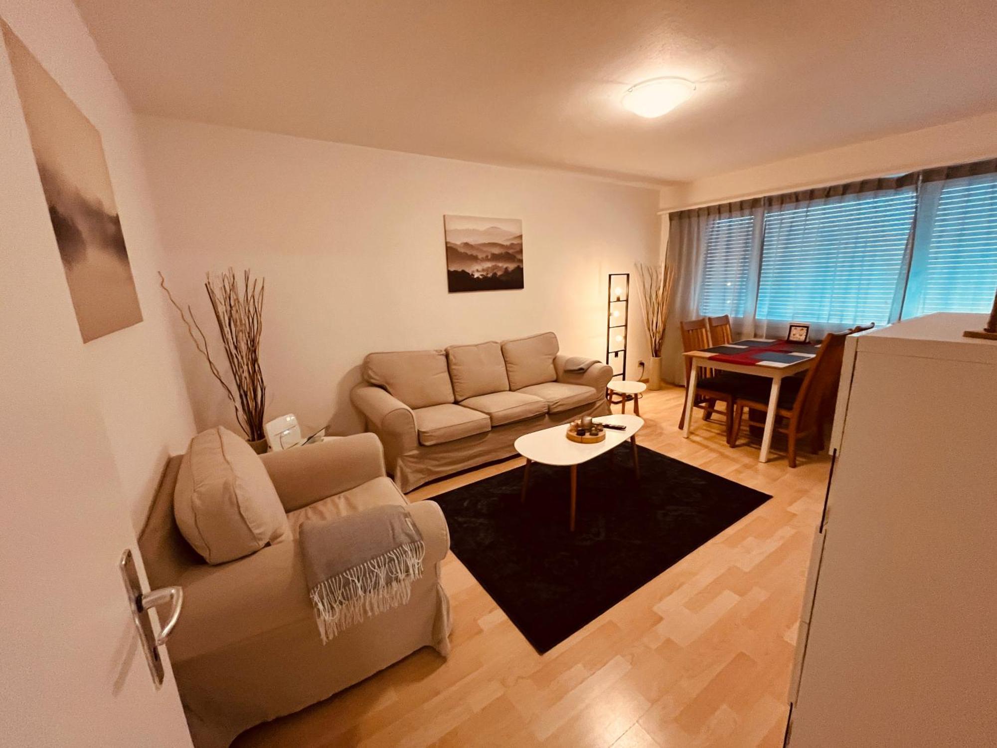 3-Room Apartment For Business Travelers & Families, Free Wifi & Tv With 70 Countries, Dazn, Sky, Netflix & Disney Wynau Extérieur photo